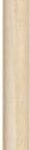 Pricebuster pencil with coloured barrel