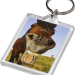 Vito C1 rectangular keychain